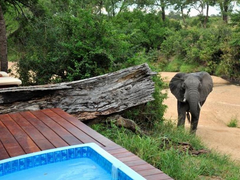 Imbali Safari Lodge Mluwati Concession Esterno foto