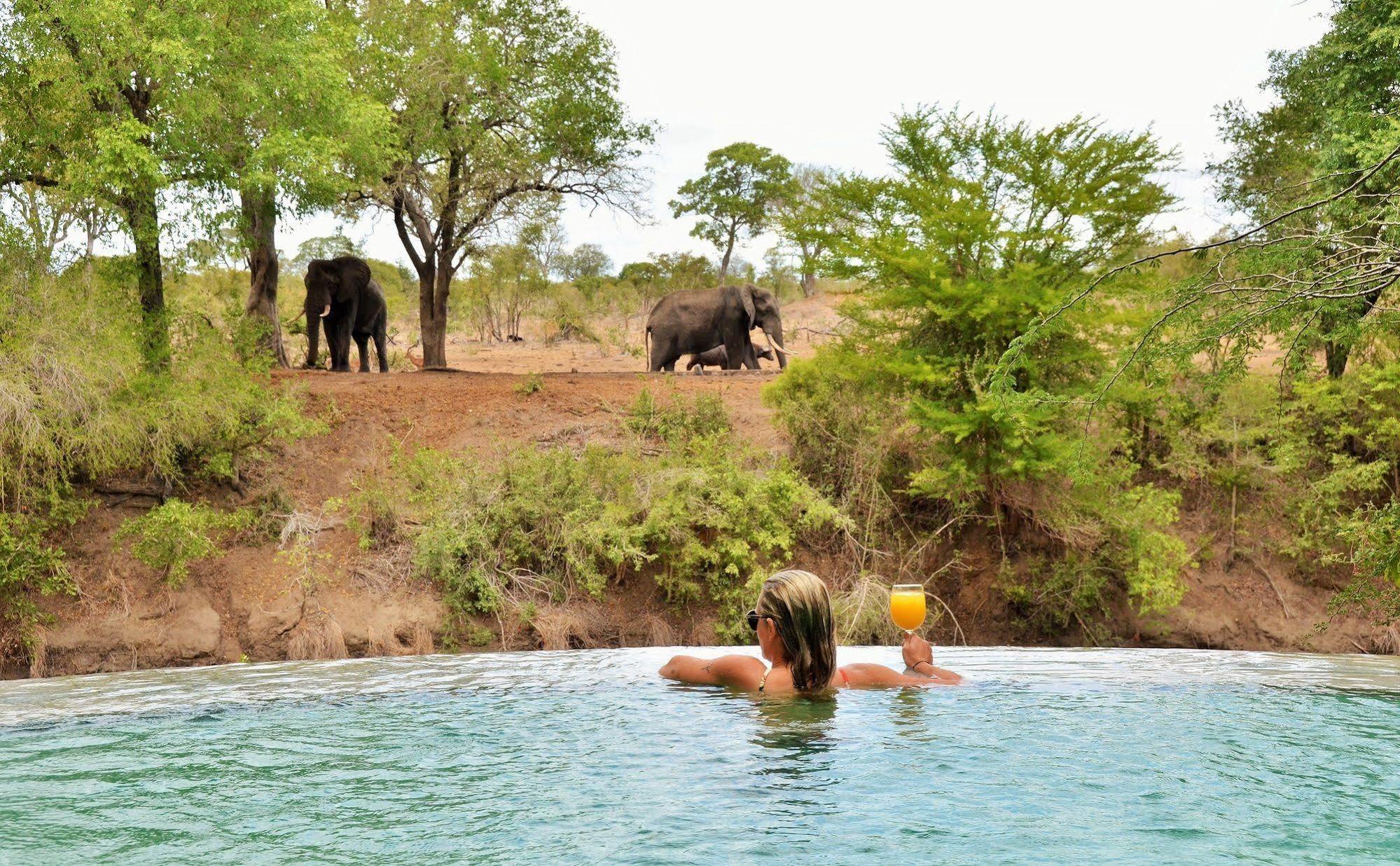 Imbali Safari Lodge Mluwati Concession Esterno foto