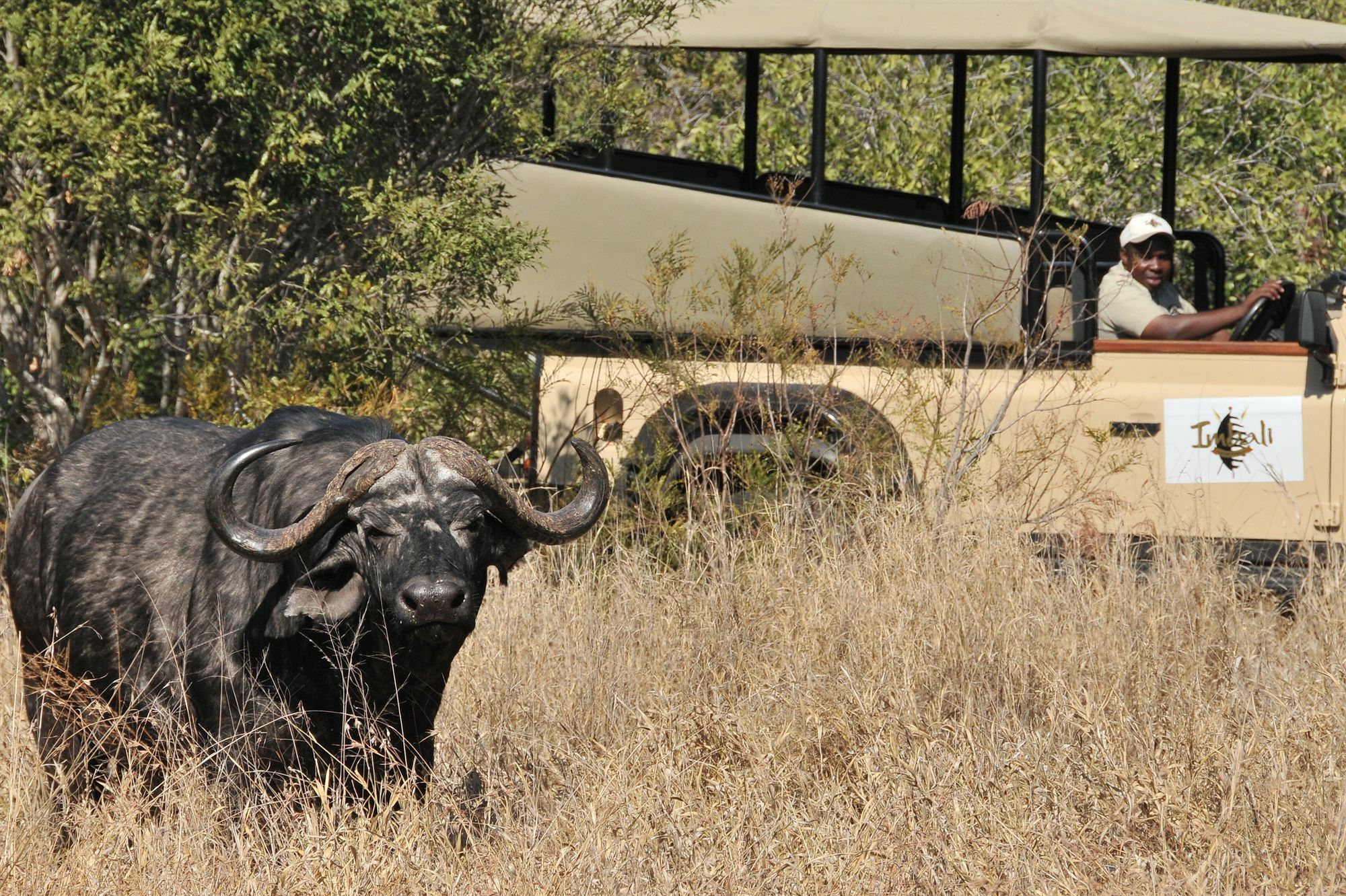 Imbali Safari Lodge Mluwati Concession Esterno foto